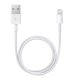 APPLE adatkábel (USB - lightning, 50cm) FEHÉR