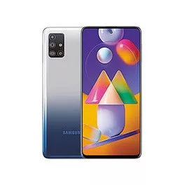 Samsung Galaxy M31s (SM-M317F)