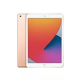 Apple IPAD 10.2 (2020)